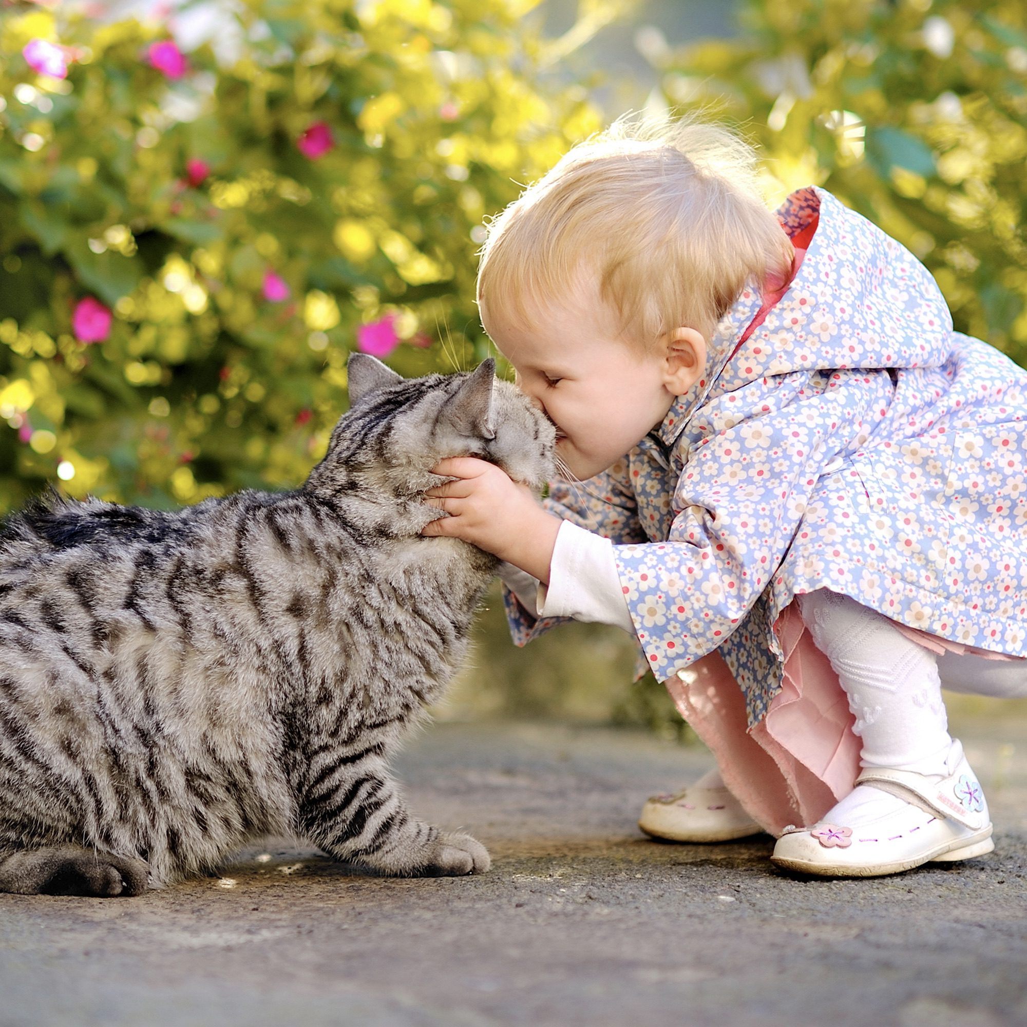 portrait of a little girl with a cat