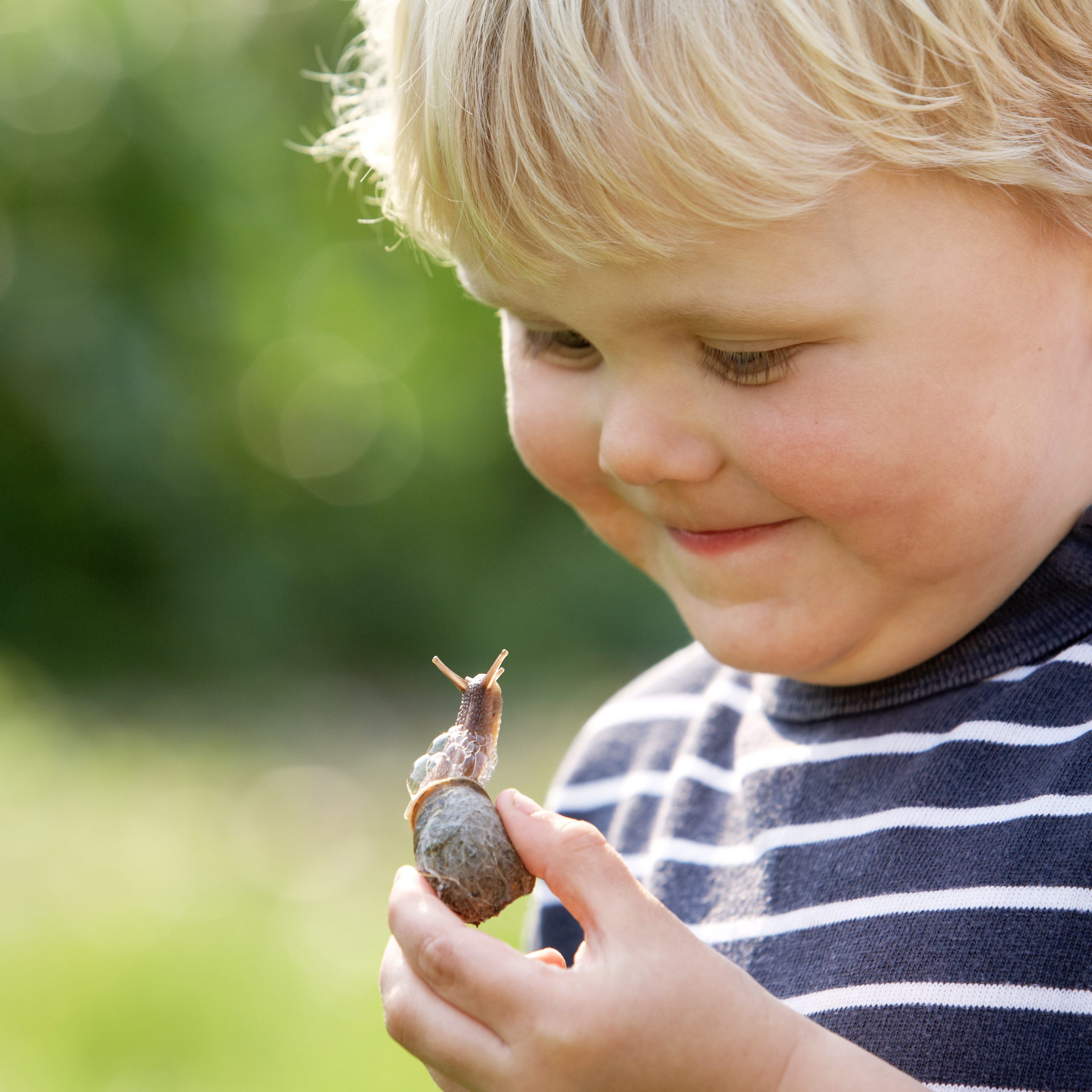 Young Boy looking at a snail