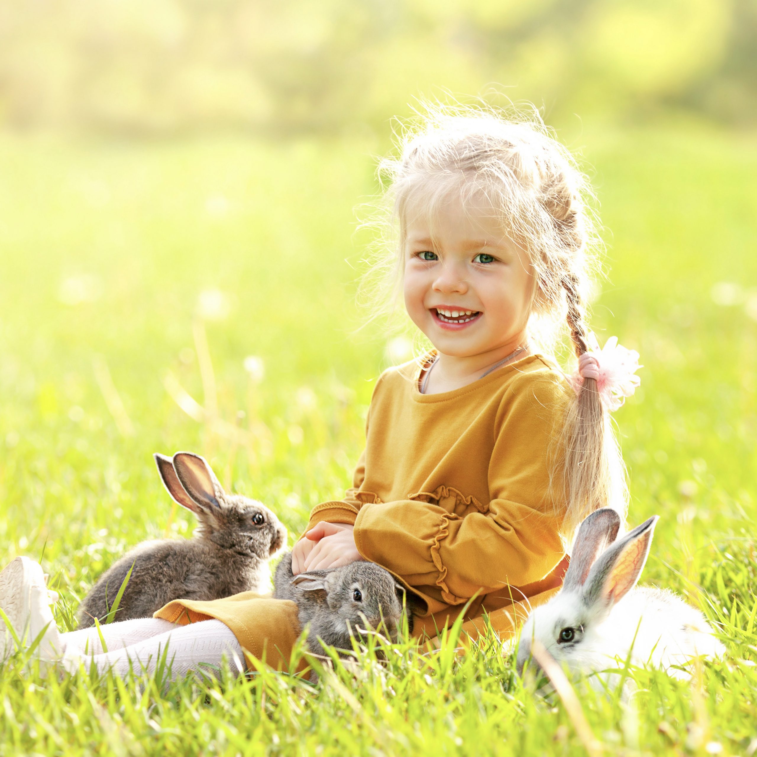the girl is sitting on the sunny lawn among the rabbits, smilling and looking at the camera
