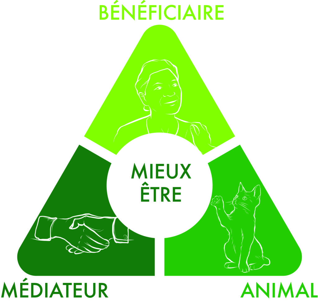 La Médiation Animale Présentation BMA