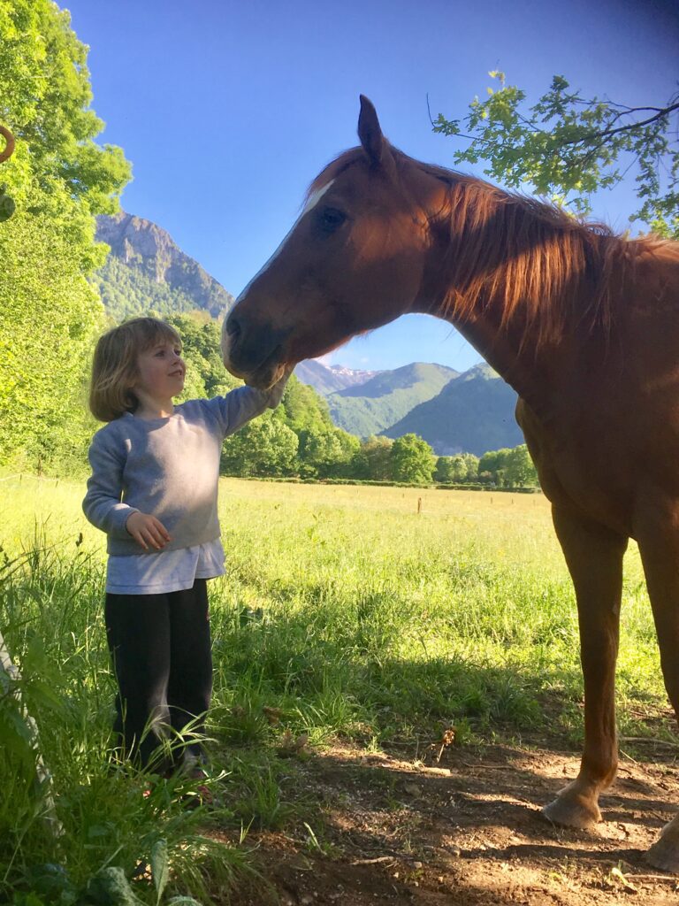 Une jeune fille touche le museau d'un cheval. Les montagnes en second plan.