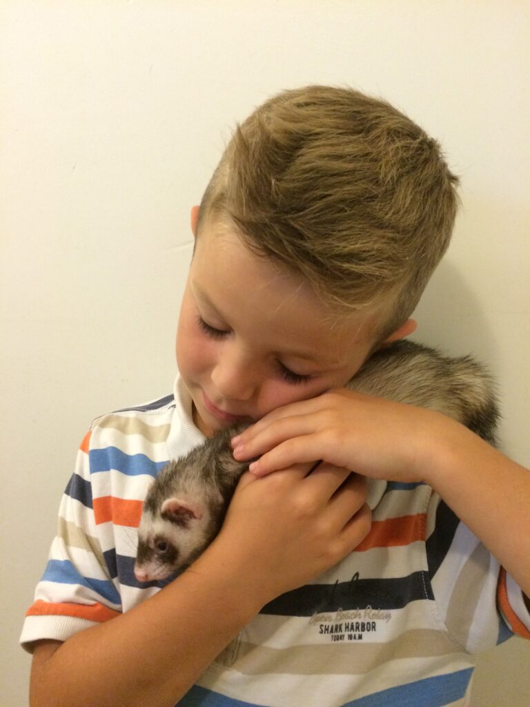 Un enfant cageole un cochon d'inde